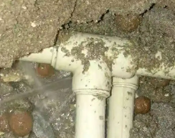 会宁测漏水多少钱